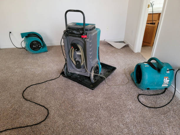 Trusted Sahuarita, AZ Water damage restoration Experts