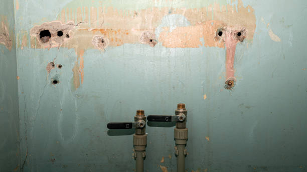 Best Flood restoration services  in Sahuarita, AZ