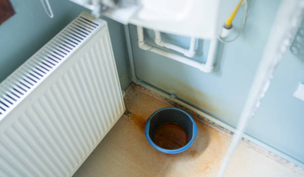 Best Water damage restoration near me  in Sahuarita, AZ