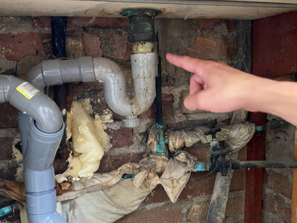 Best 24/7 water damage repair  in Sahuarita, AZ