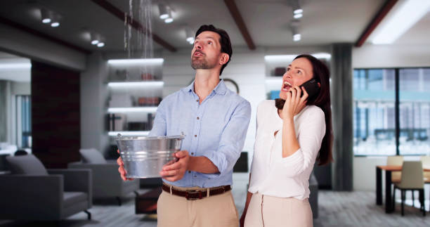 Best Water damage restoration insurance claims  in Sahuarita, AZ