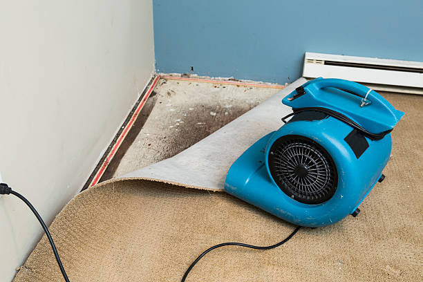 Best Flooded house restoration  in Sahuarita, AZ